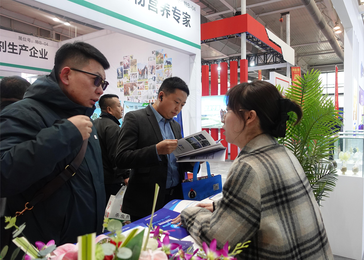 �������ǲ�(�й�)����-�ٷ���վ