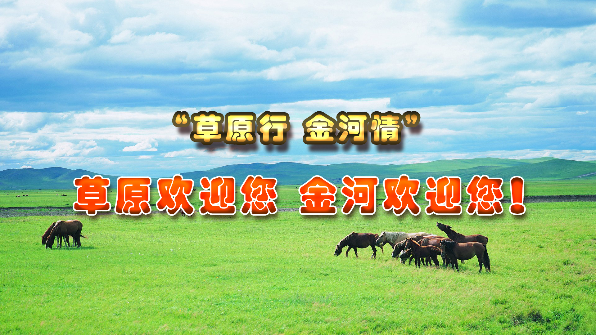 �������ǲ�(�й�)����-�ٷ���վ