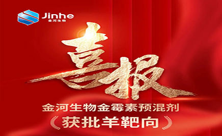 ���ذ�ϲѶ���������ǲ�(�й�)���������ù��Ԥ��������ж�����