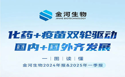 һͼ�������������ǲ�(�й�)��������2024�걨&2025��һ����